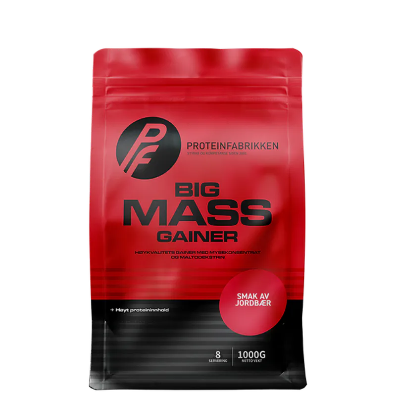 Proteinfabrikken Big Mass Gainer - 1000 g